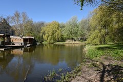 DSC_5856 (Aangepast).JPG